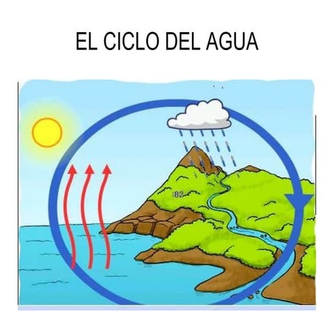 Diana: el ciclo del agua
