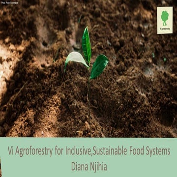 Diana Nijhia Vi Agroforestry.pdf