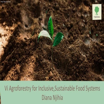 Diana Njihia Vi Agroforestry.pdf