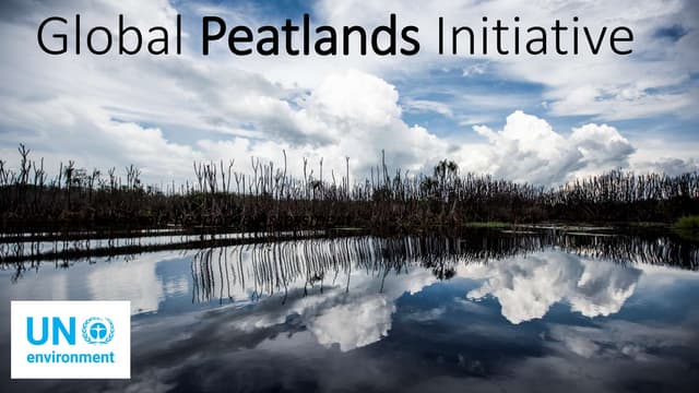 Global Peatlands Initiative