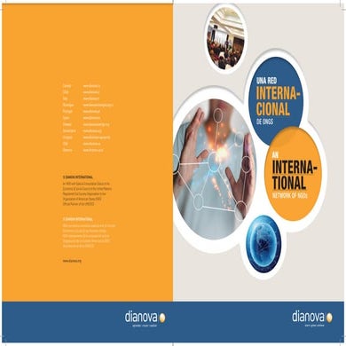 Dianova international network 2013