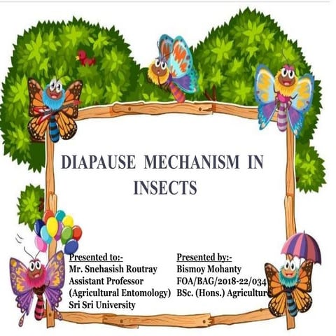 Diapause mechanism in Insects-Bismoy Mohanty