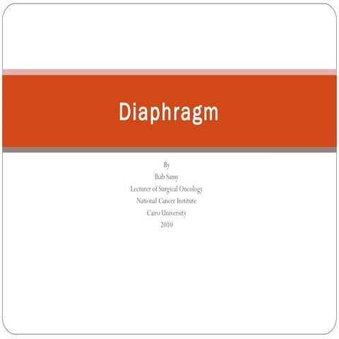 Diaphragm