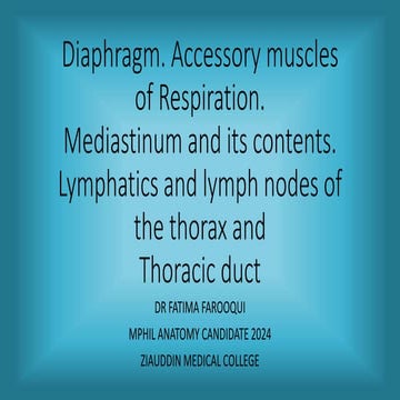 Diaphragm. Accessory muscles of respiration thoracic duct.pptx