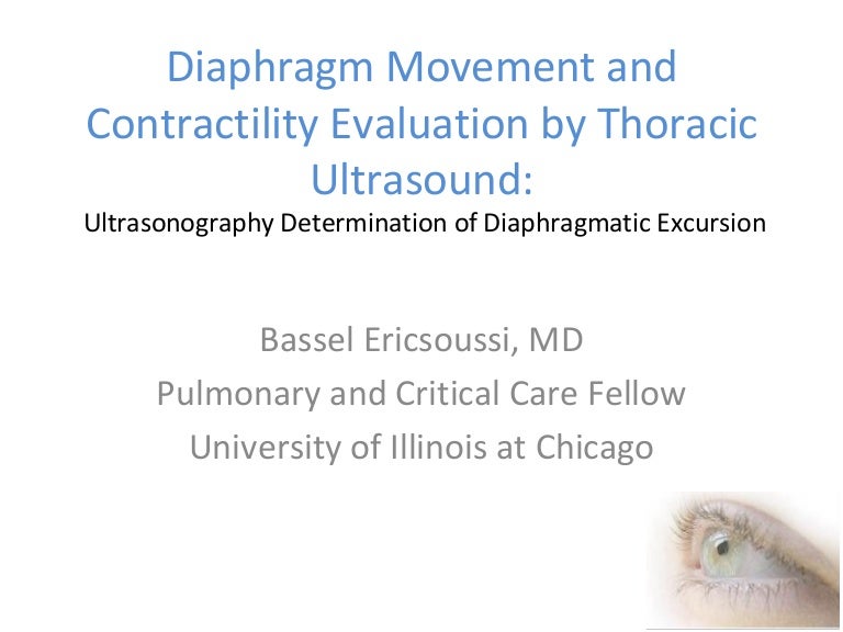 Diaphragm Movement And Contractility Evaluation By Thoracic Ultrasound
