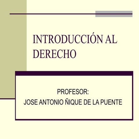 INTRODUCCION AL DERECHO_curso UNMSM Ñique de la Puente