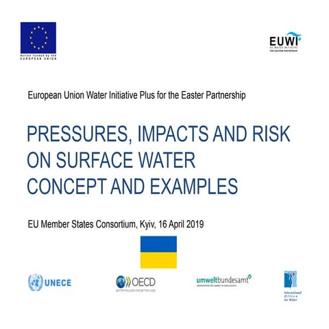 Pressures, impacts and risk on surface water. Concept and examples