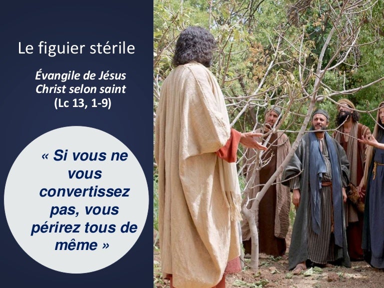 Diaporama : La parabole du figuier stérile
