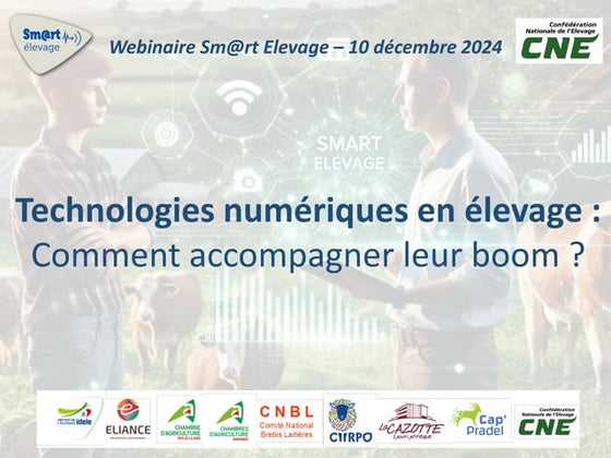 Les moutons connectés : quand la technologie s'invite dans les pâturages