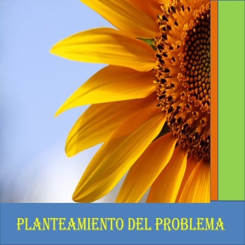 Planteamiento del Problema de Investigación