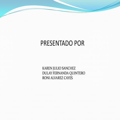 Auditoria Financiera