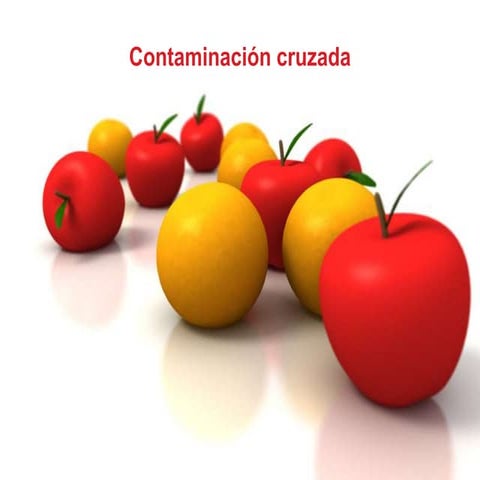 Diapositiva contaminacion cruzada
