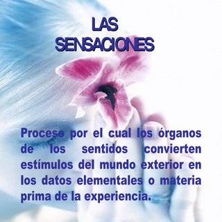 LAS SENSACIONES Y LAS PERCEPCIONES