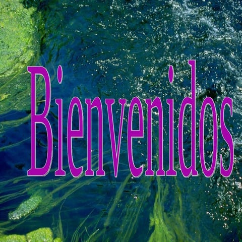 Acido Clorhidrico riesgos