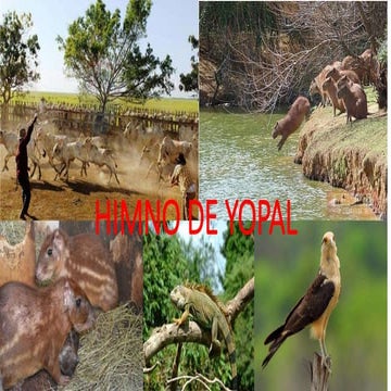 Diapositiva himno de yopal