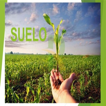 Importancia y Funciones del Suelo en los Ecosistemas y la Sociedad | PPTX