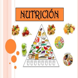 Diapositiva nutricion