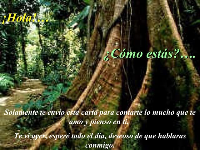 el amor de dios 