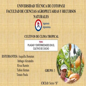 plagas-y-enfermedades-del-cacao