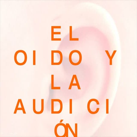 Diapositivas El Oido Y La AudicióN