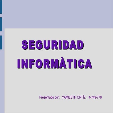 seguridad informatica