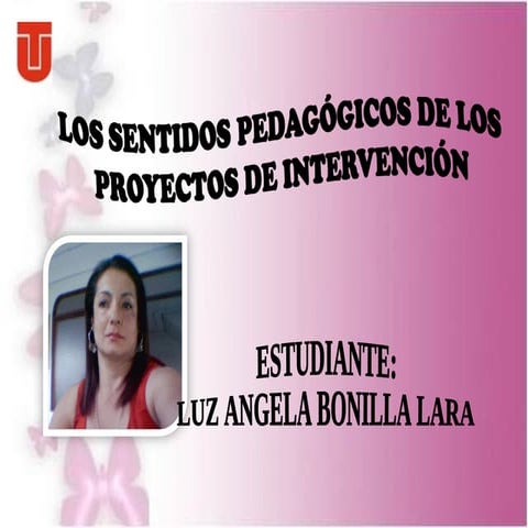 Diapositivas  8 de agosto  angela bonilla.... tesis de grado ix.............