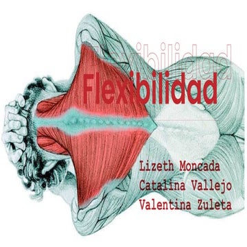 DIAPOSITIVAS ANATOMÍA.pdf