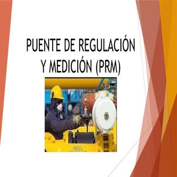 DESCRIPCION DE LOS PRM DESCRIPCION CLASE 23.pptx
