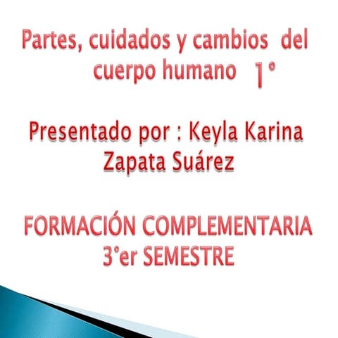 Diapositivas cuidados del cuerpo