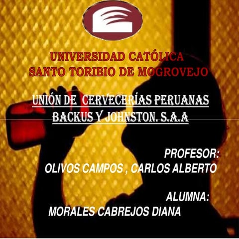 Diapositivas De Backus Sa | PDF