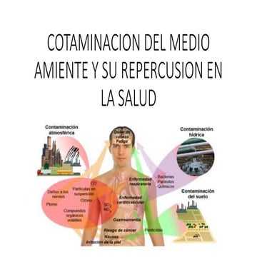 Contaminación y salud