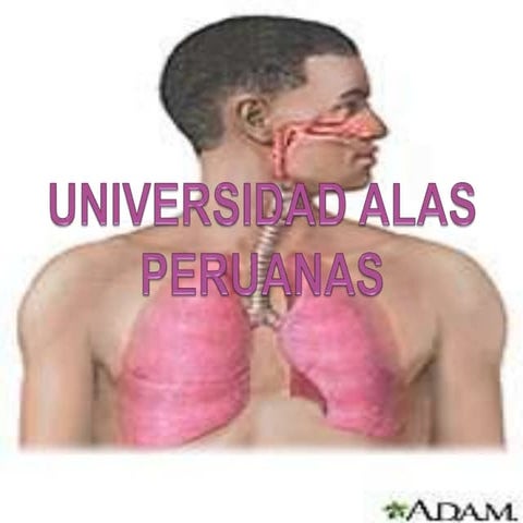 Diapositivas de estado asmatico