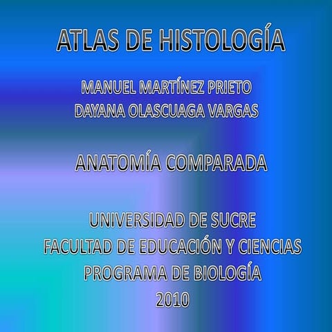 Diapositivas de histologia