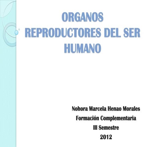 Diapositivas de informatica organos reproductores