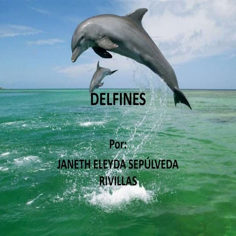 Delfines