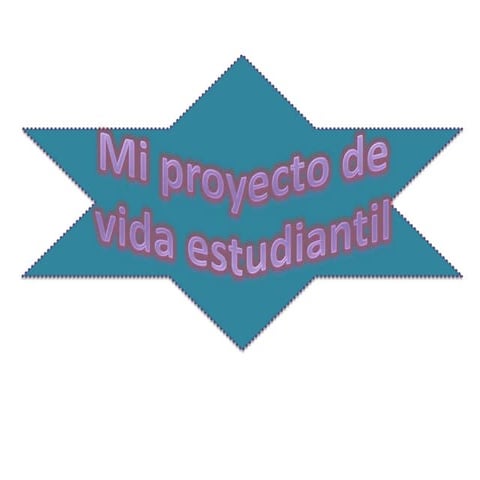Diapositivas  del proyecto