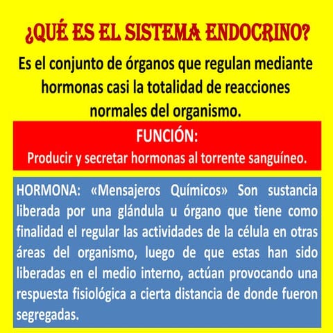 Diapositivas del sistema endocrino