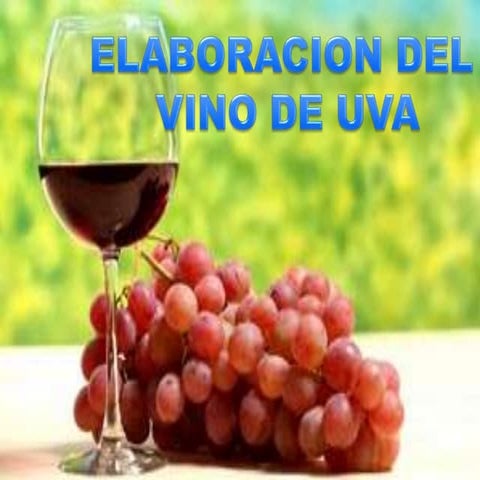 Diapositivas del vino