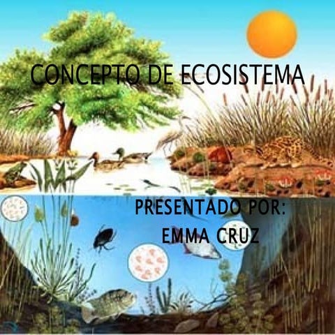 Diapositivas de manejo  de ecosistema