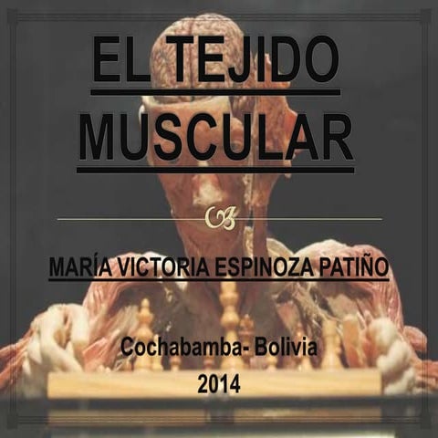 EL TEJIDO MUSCULAR de María Victoria Espinoza Patiño