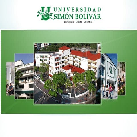 Diapositivas de tejido óseo Histología