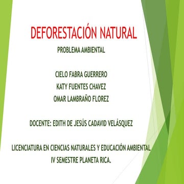 Diapositivas de teoría y problemática ambiental