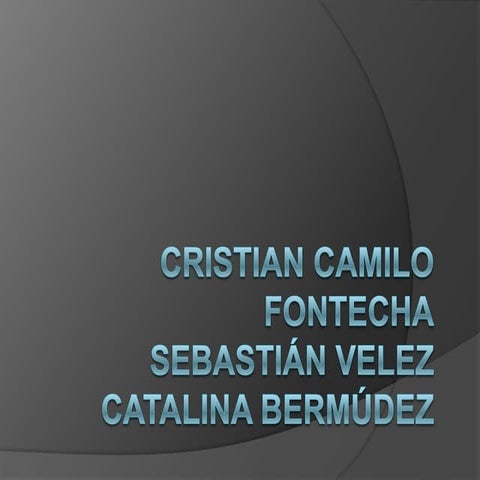 Diapositivas dominios