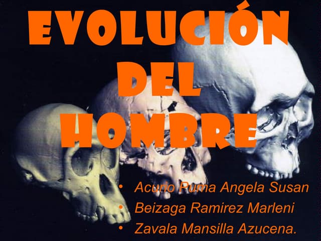 Diapositivas evolucion