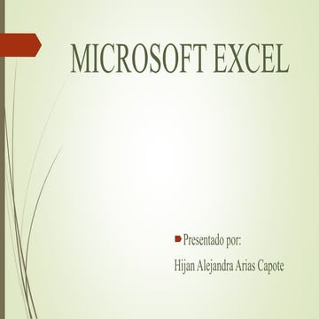 Microsoft excel