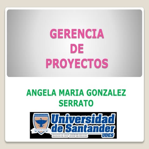 Diapositivas gerencia de proyectos