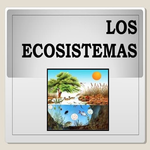ECOSISTEMA | PPT