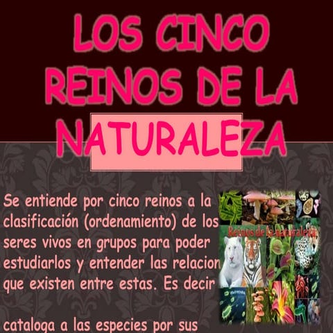 Reinos de la naturaleza | PPTX