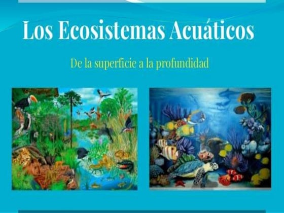 Ecosistemas | PPTX | Geography | Science