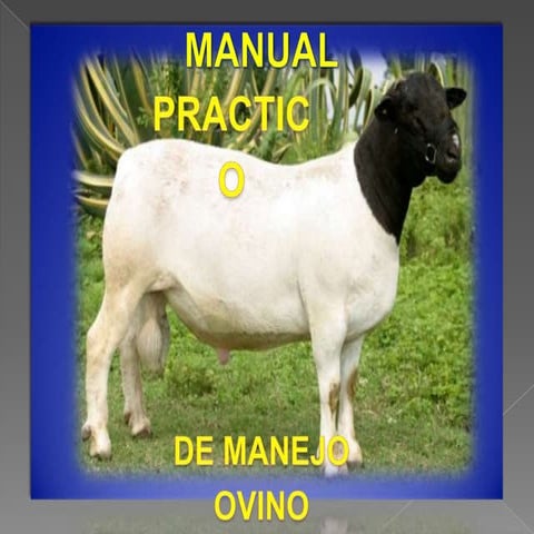 Diapositivas manual ovino